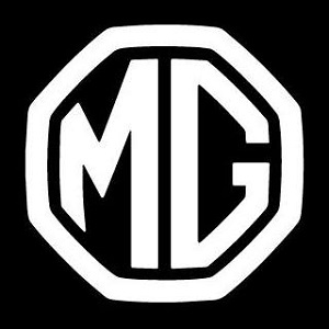  MG Motor